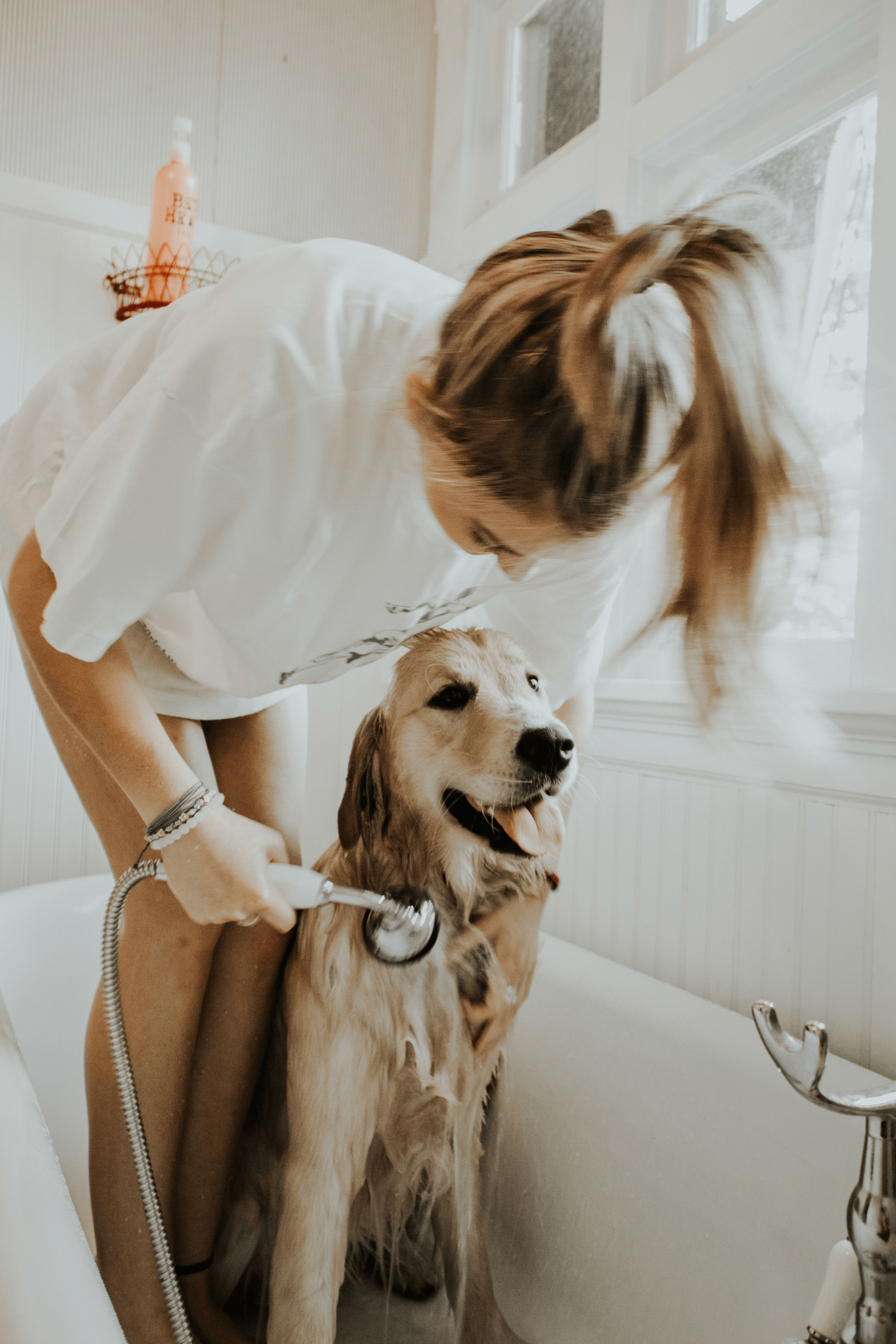 Showering your dog puppy
